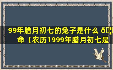 99年腊月初七的兔子是什么 🦟 命（农历1999年腊月初七是 🐶 公历几号）